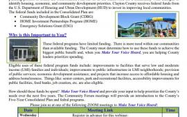 Clayton County 5-Year Plan