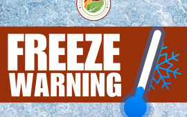 Freeze Warning Graphic