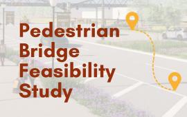 Downtown Bridge Study