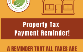 Property Tax Flyer