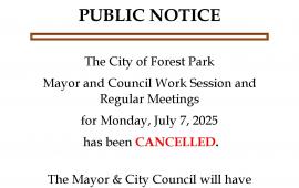 City Council Meeting 