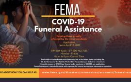 Fema