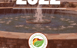 FY 2022 Budget