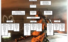 Organizational Chart