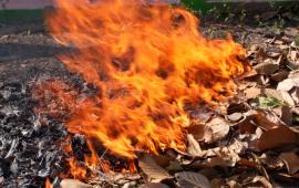 Outdoor Burning