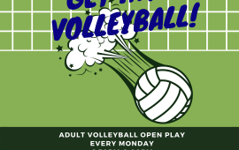 adult volleyball