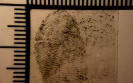 Fingerprint