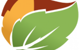 Forest Park Leaf Logo