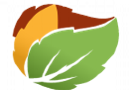 li