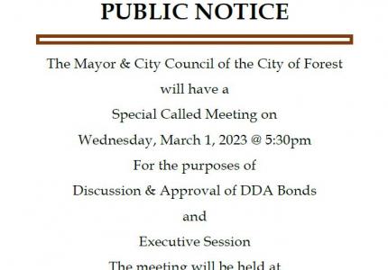 Special Called Meeting (March 1)