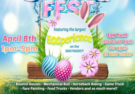 Spring Fest Flyer