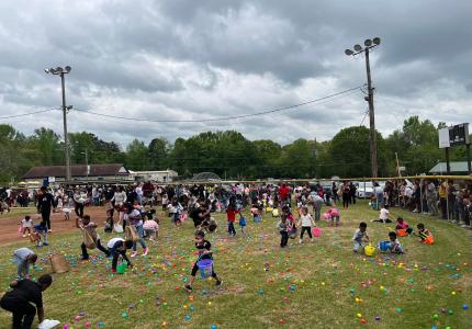 Spring Fest
