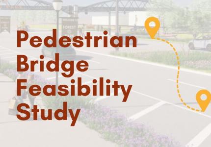 Downtown Bridge Study