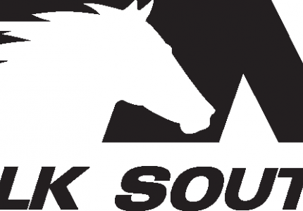 Norfolk Southern Logo
