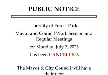 City Council Meeting 