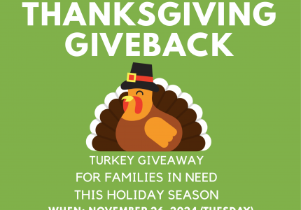 Turkey Flyer