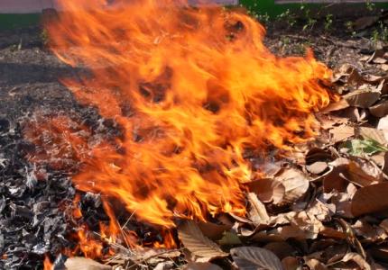 Outdoor Burning