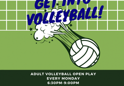 adult volleyball