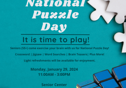 National Puzzle Day