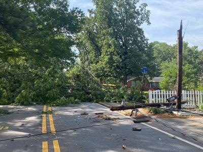 Downed tree near Phillips Drive and Skyland Drive 