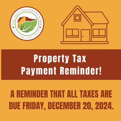 Property Tax Flyer