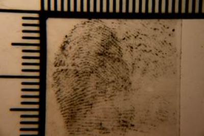 Fingerprint