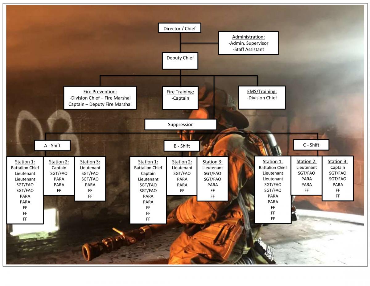 Organizational Chart