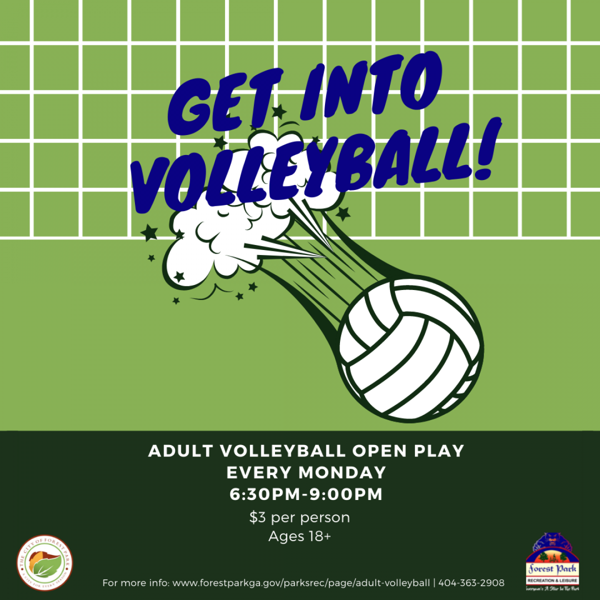 adult volleyball